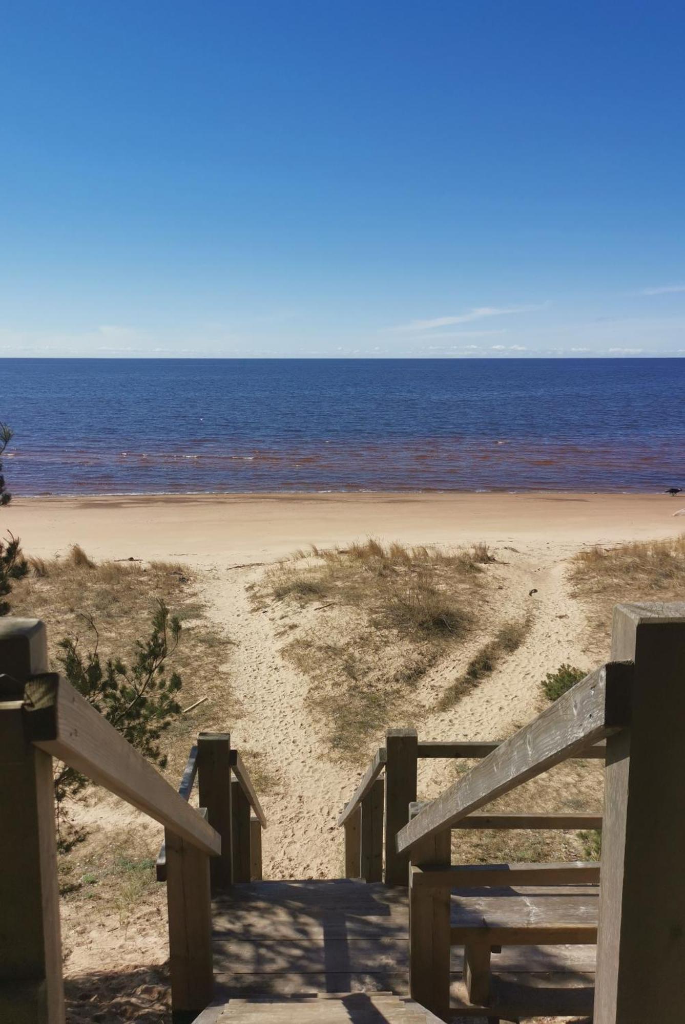 Vieta Piejuras Brivdienam Brivnieku Plavas Vakantiehuis *