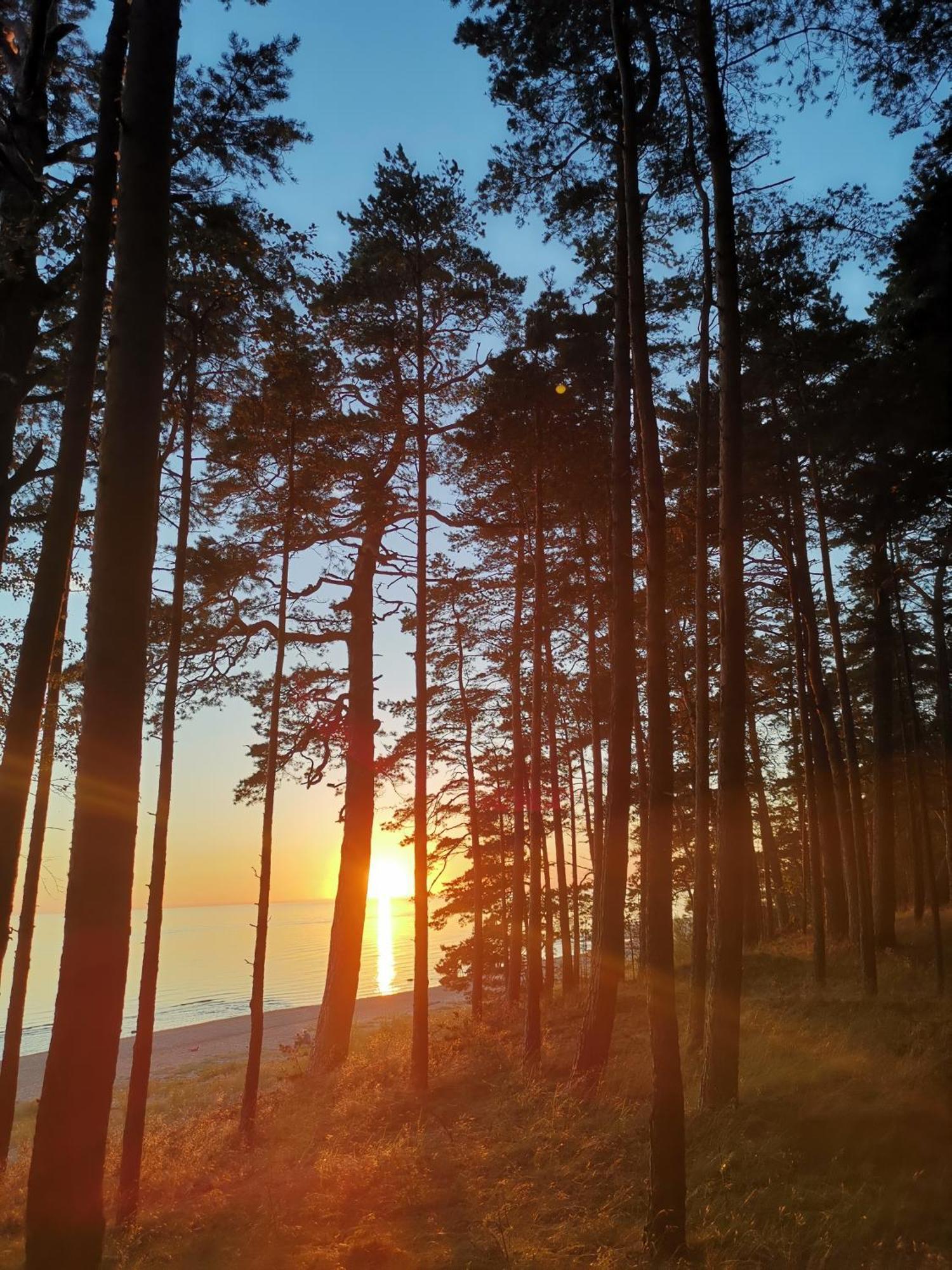 Vieta Piejuras Brivdienam Brivnieku Plavas Vakantiehuis Vecmuiza